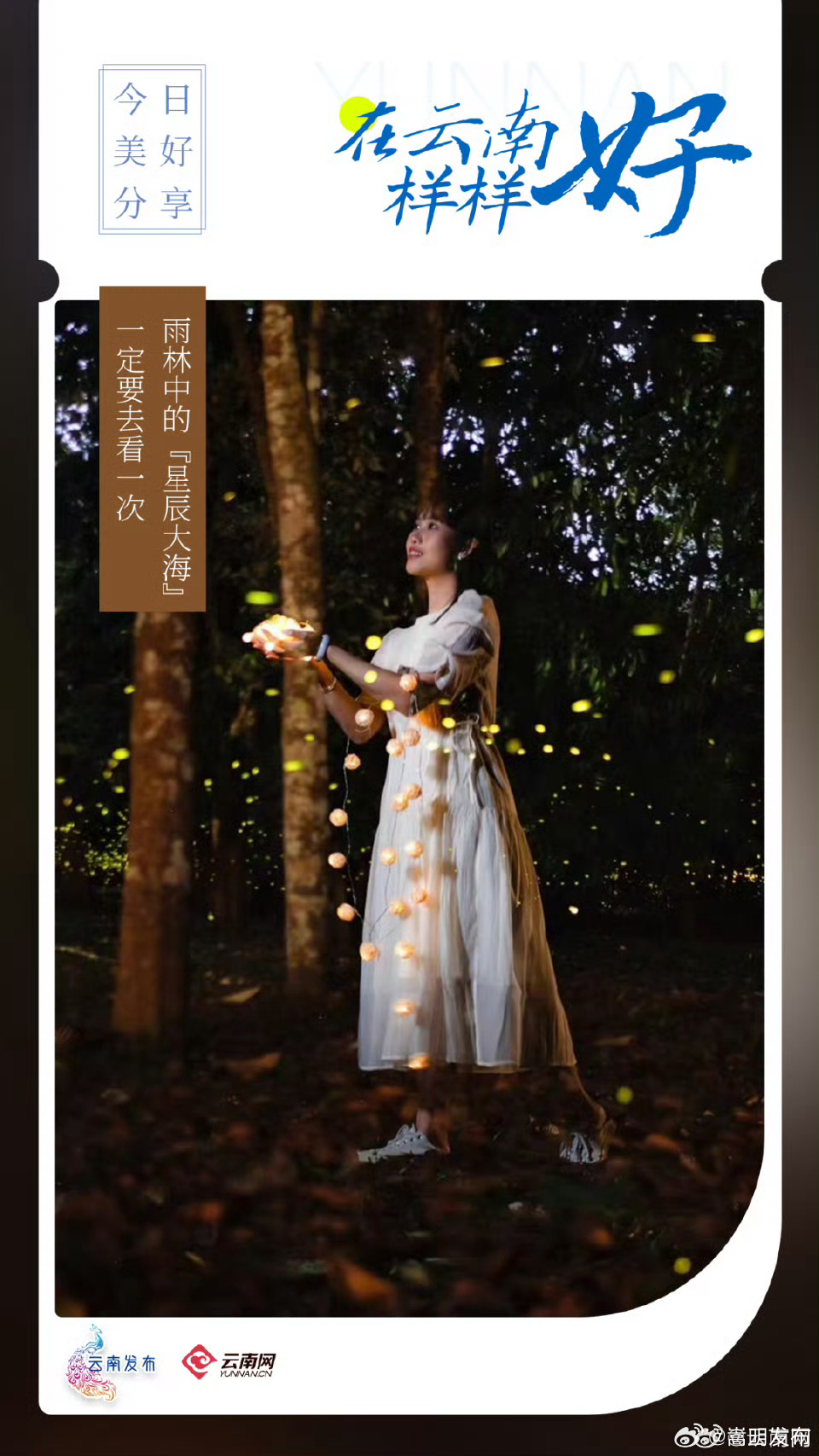 在云南样样好丨雨林中的“星辰大海”，一定要去看一次！