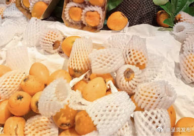 自制止咳枇杷汤