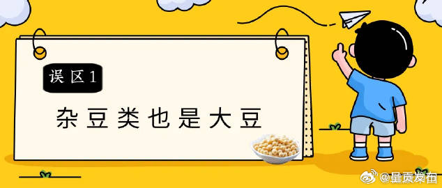 杂豆类是大豆吗?