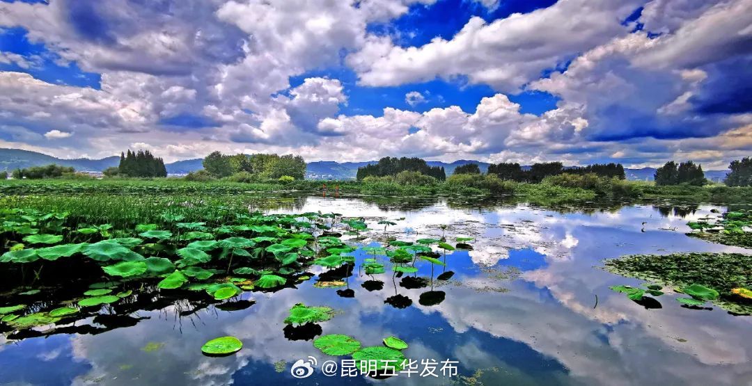 昆明五华发布