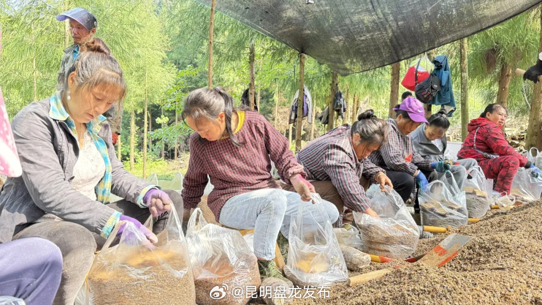 昆明盘龙发布