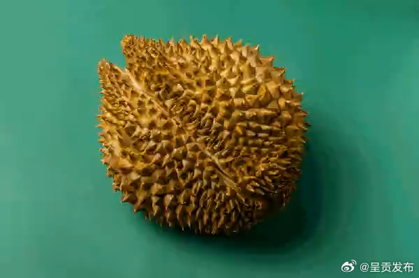 榴莲刺间距大的果肉更饱满