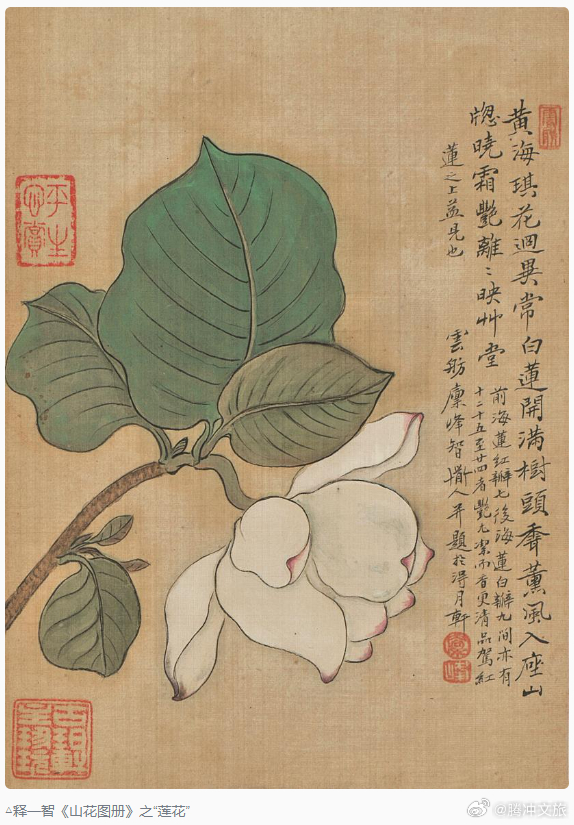 腾冲文旅