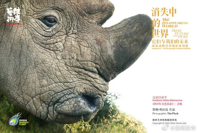 世界濒危物种日特刊