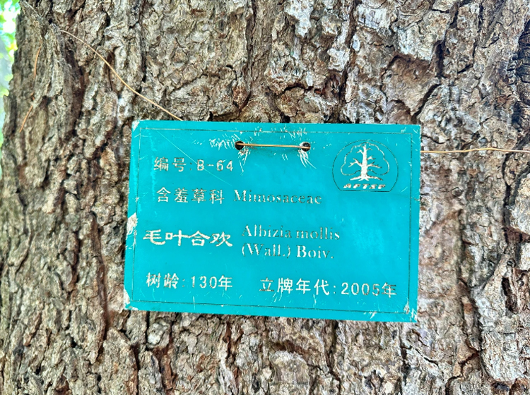 石林旅游网
