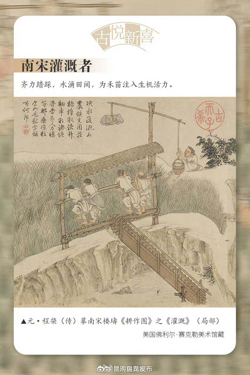 昆明盘龙发布