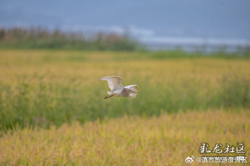 滇池旅游度假区