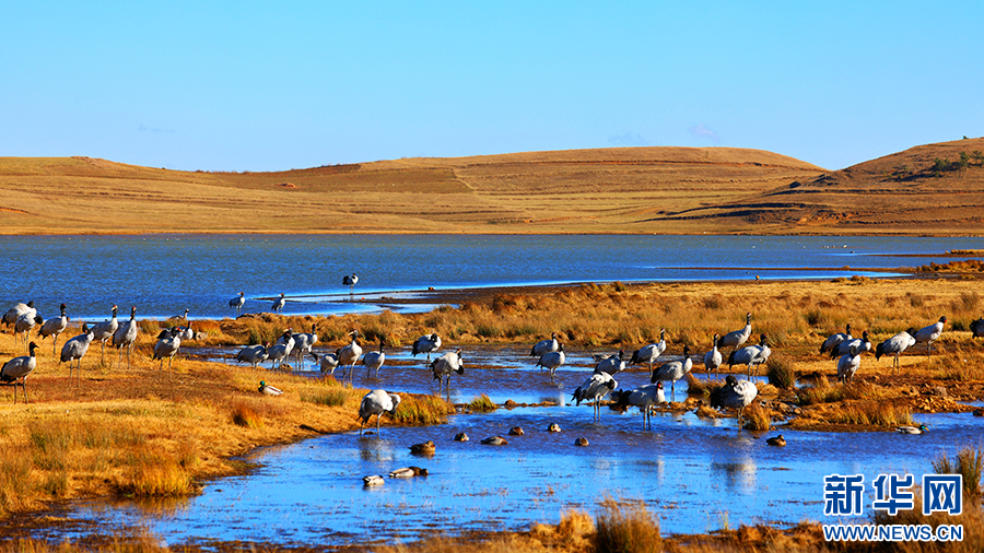 云南省文化和旅游厅