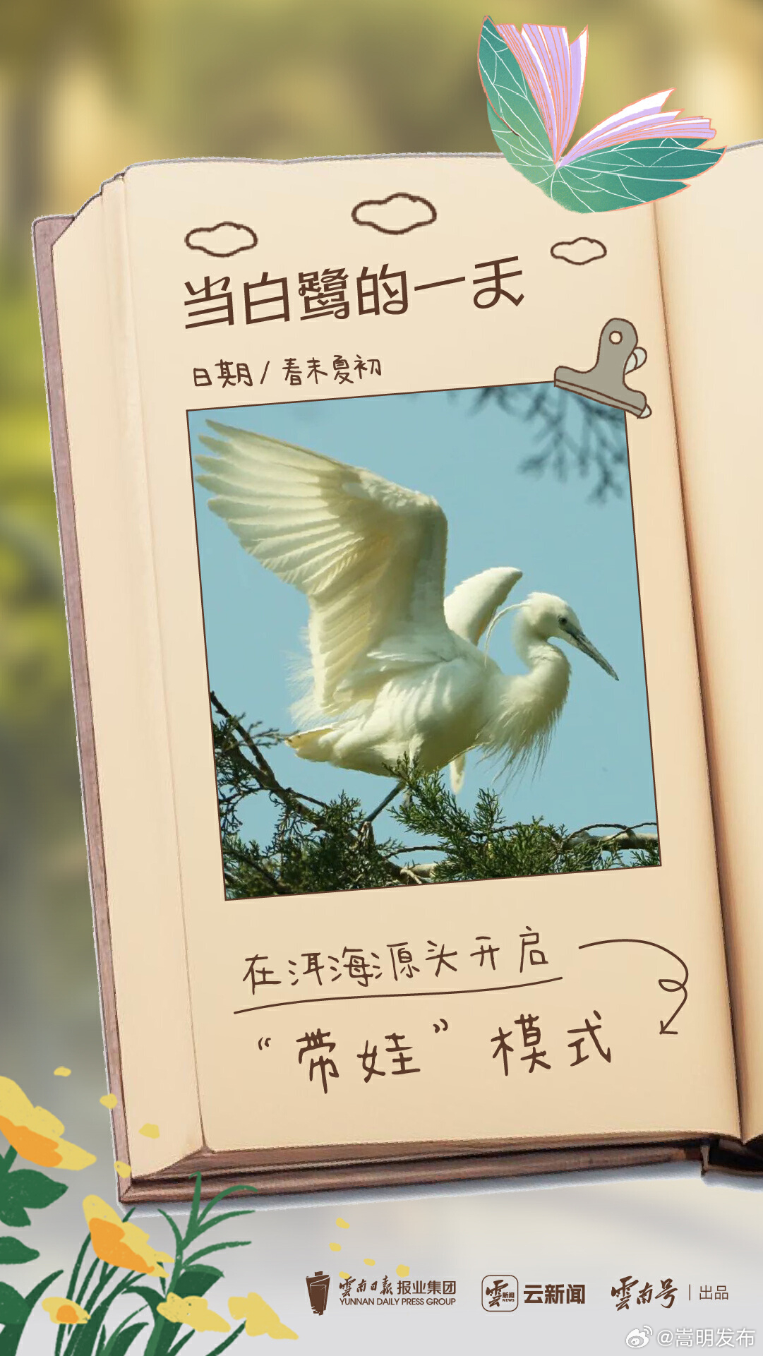 云新闻策划丨重生之我在云南当“神兽”