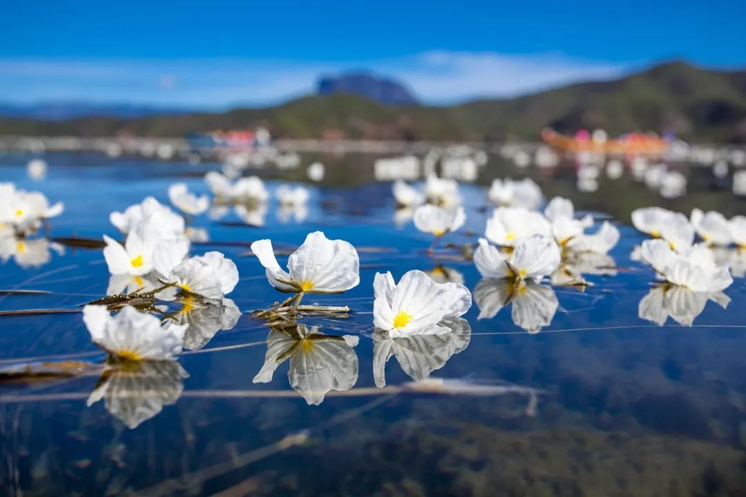云南省文化和旅游厅