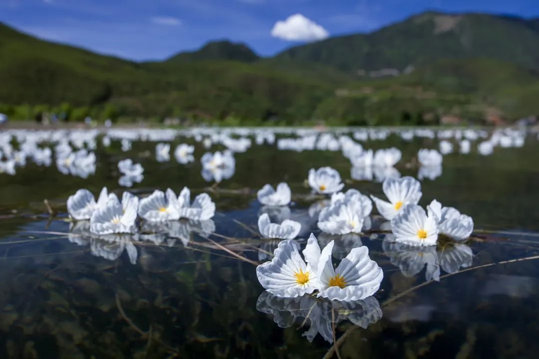 云南省文化和旅游厅