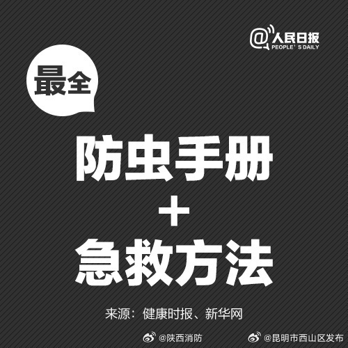 昆明市西山区发布