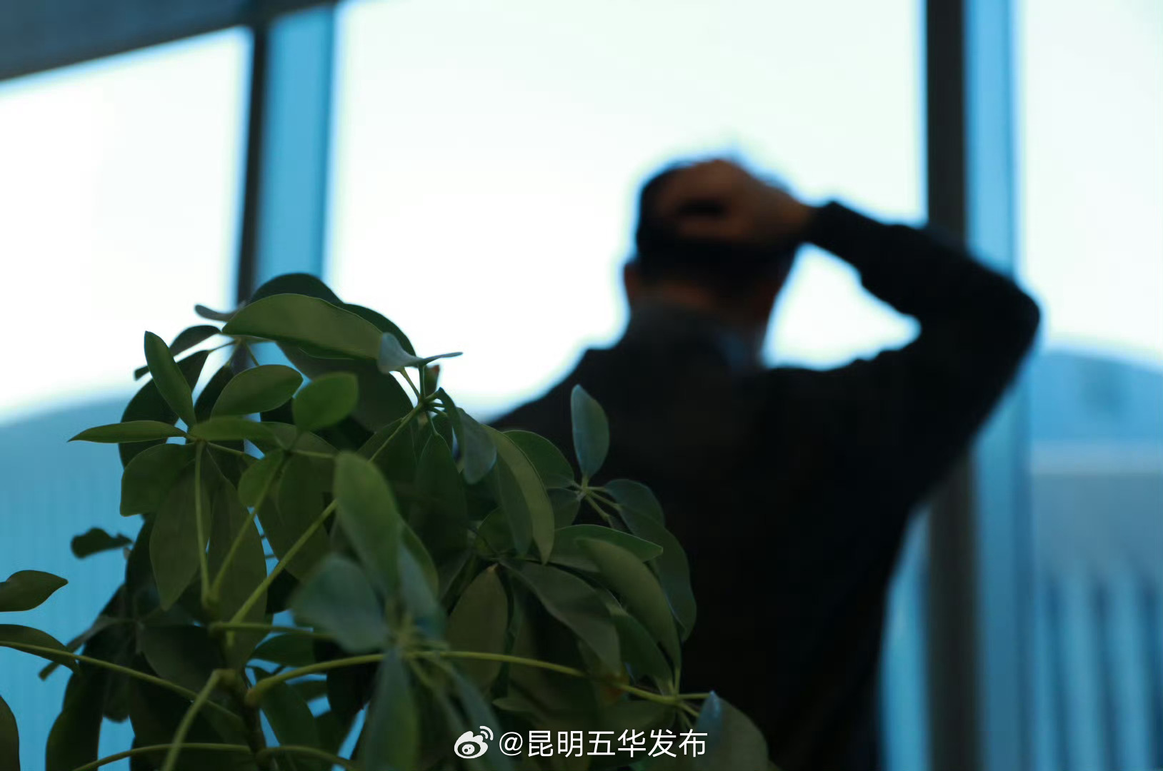 怎么判断身边的人患上了抑郁症？