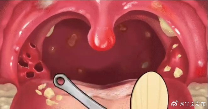 呈贡发布