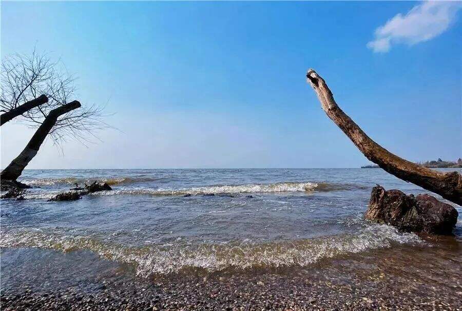 云南省文化和旅游厅