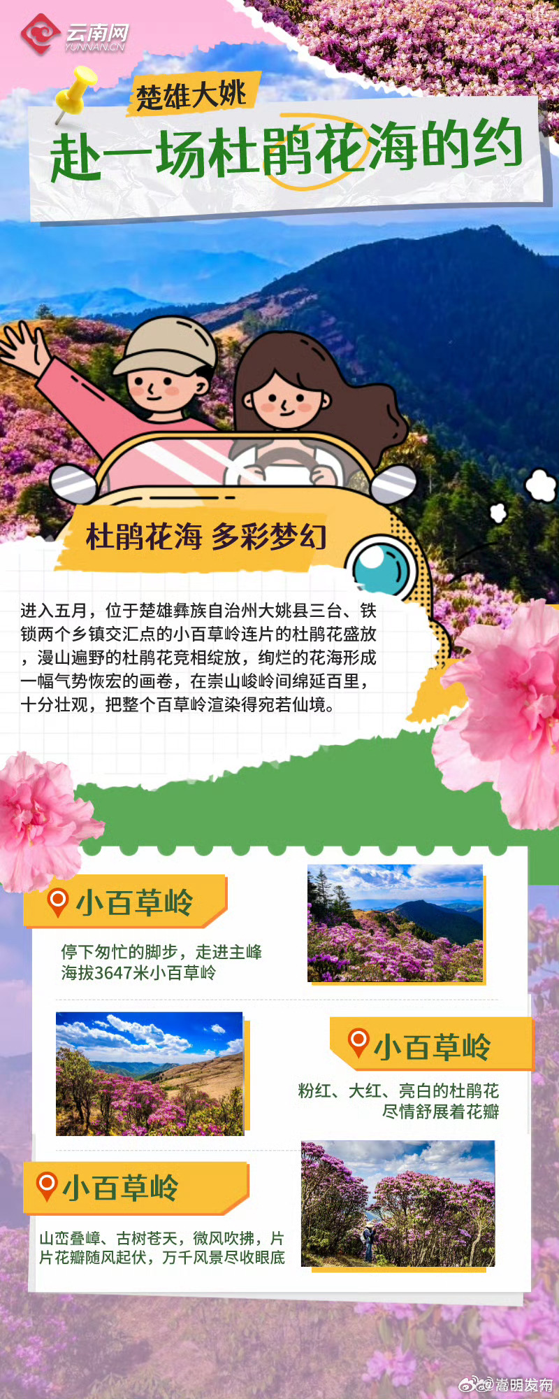嵩明发布