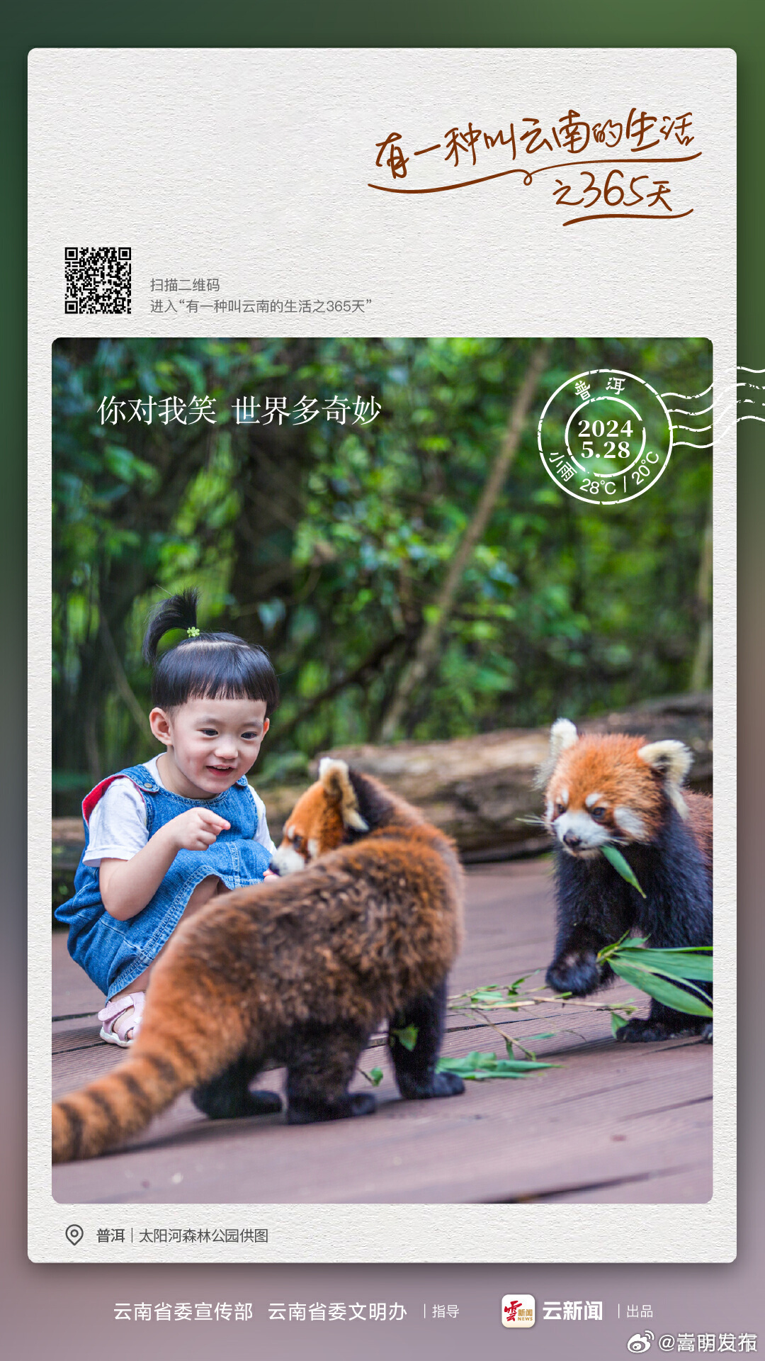 你对我笑，世界多奇妙丨有一种叫云南的生活之365天