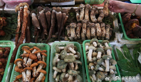呈贡发布