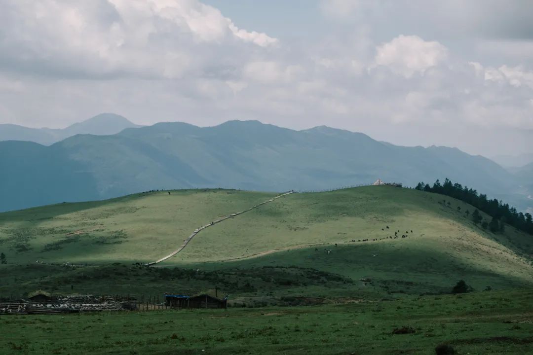 云南省文化和旅游厅