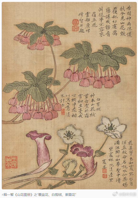 腾冲文旅