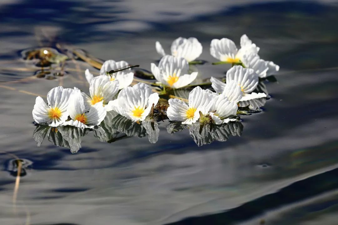 云南省文化和旅游厅