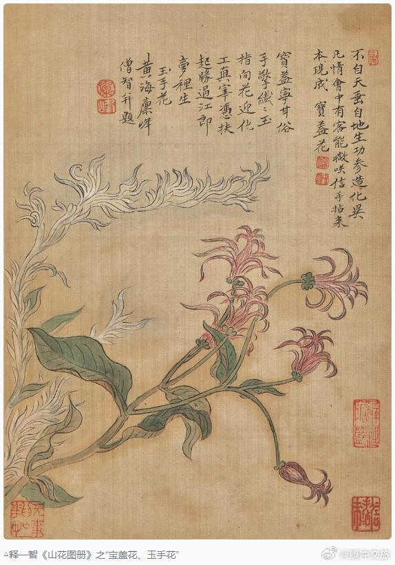 腾冲文旅