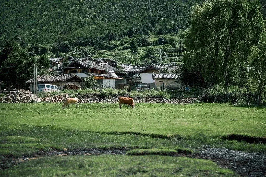 云南省文化和旅游厅