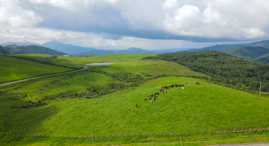 云南省文化和旅游厅