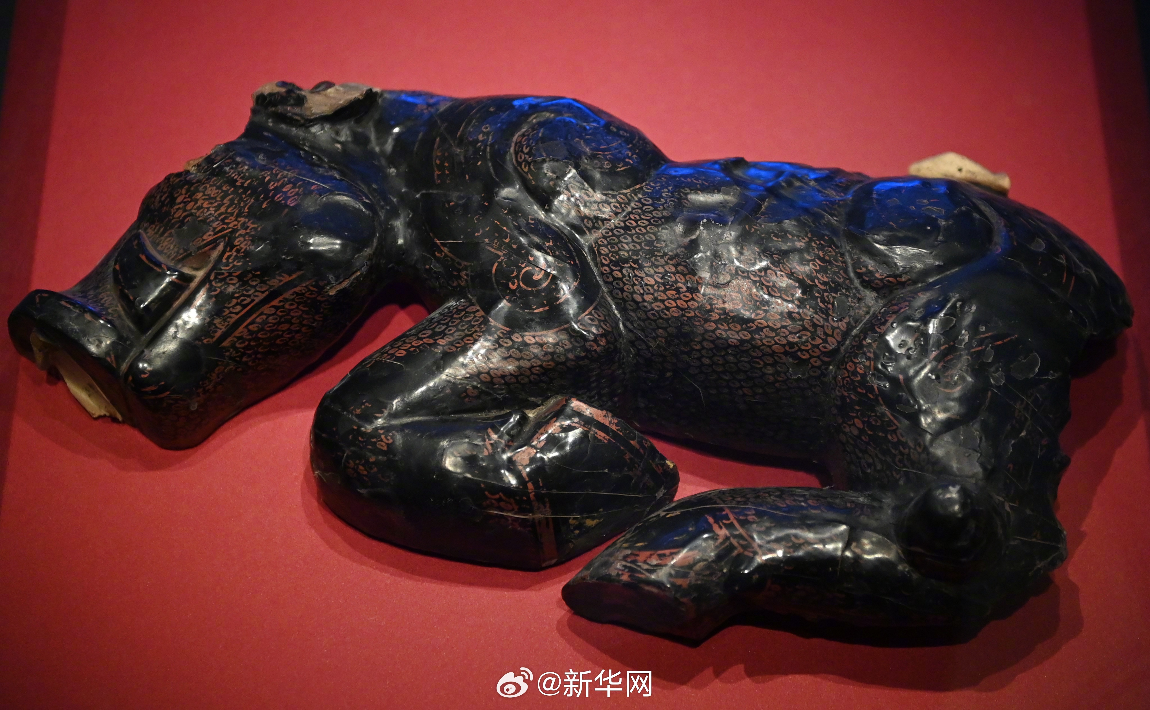 新华网