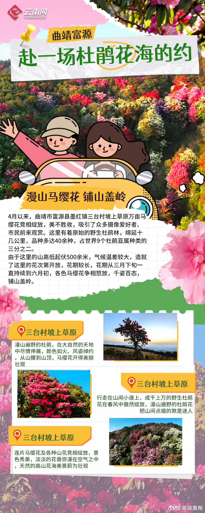 嵩明发布
