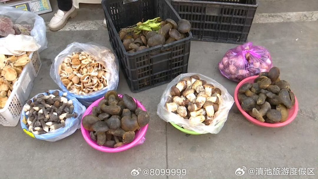 滇池旅游度假区