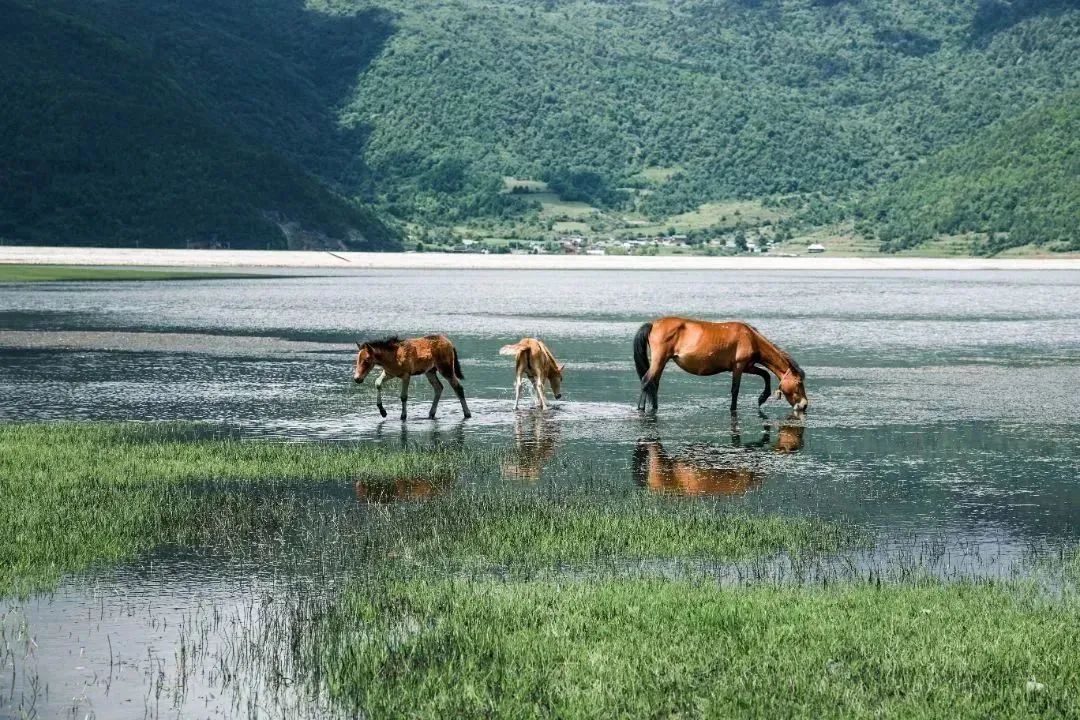 云南省文化和旅游厅