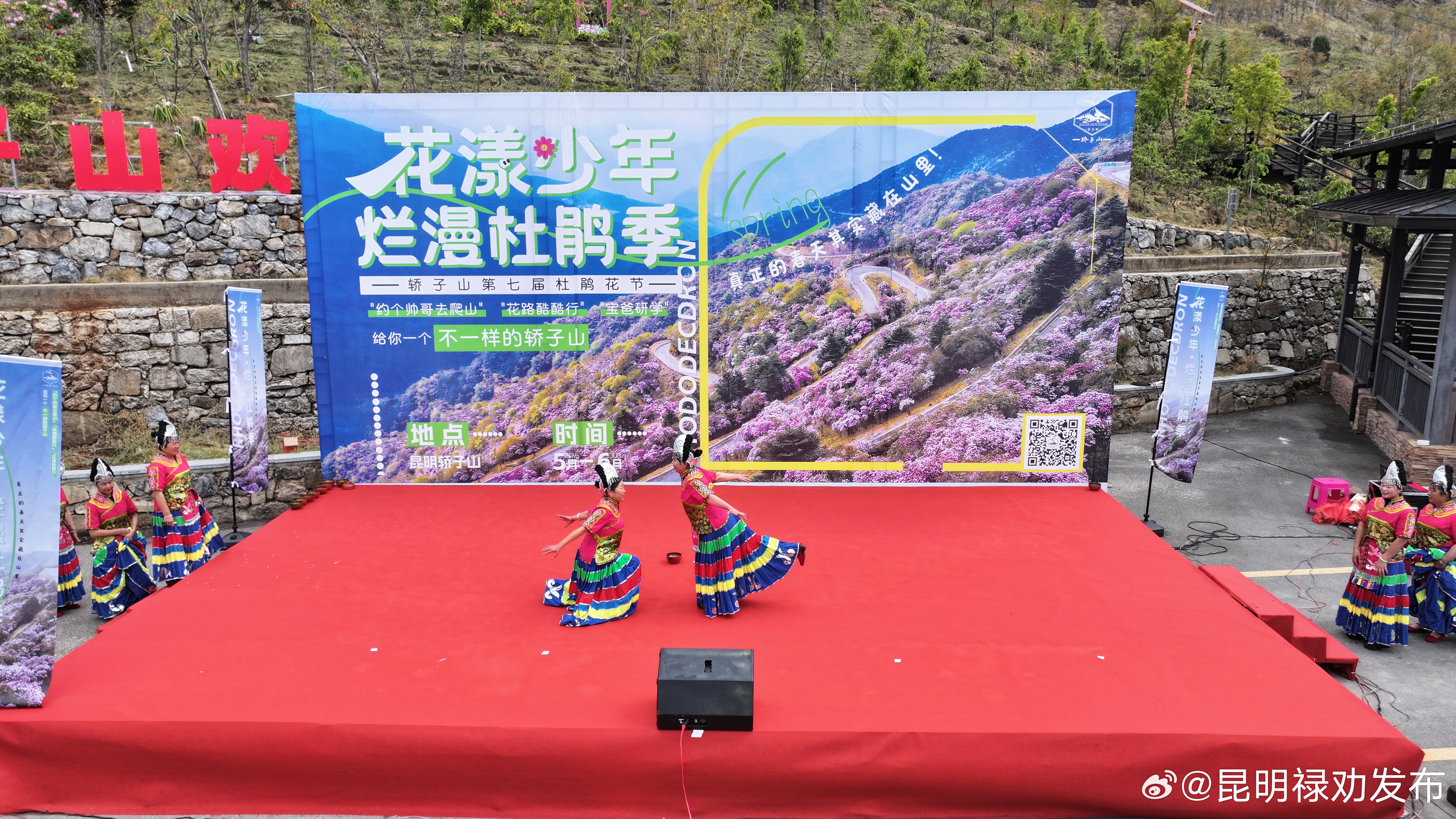 轿子山第七届杜鹃花节开幕_http://www.mainten.cn_ycb_第1张