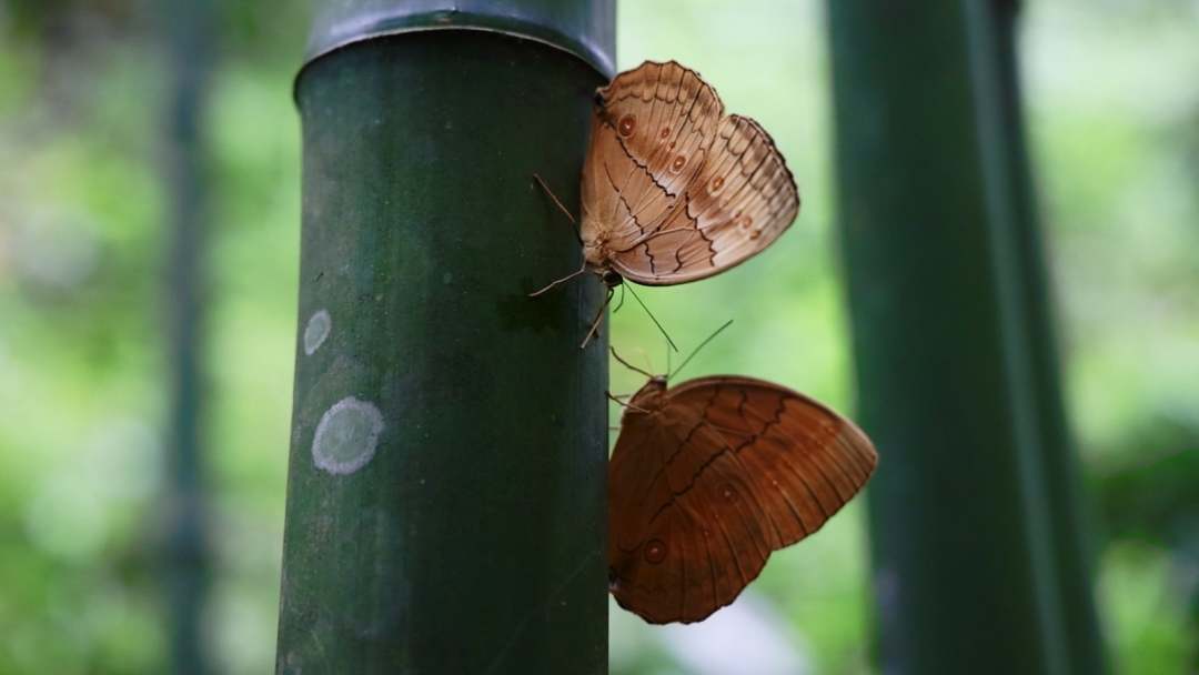 云南省文化和旅游厅