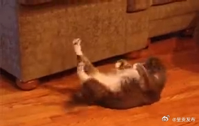 腰部赘肉多的人要反思这5个睡前习惯