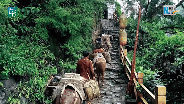 云南省文化和旅游厅