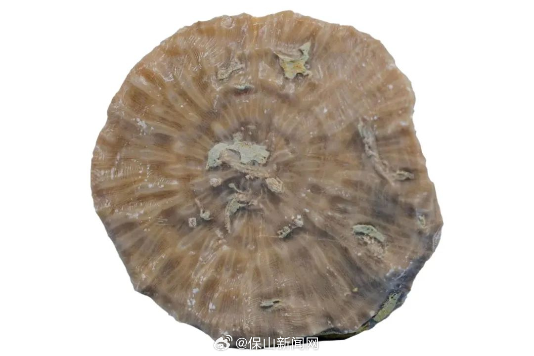 保山新闻网