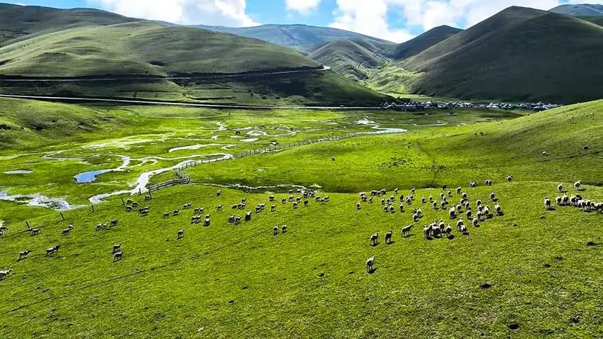 云南省文化和旅游厅