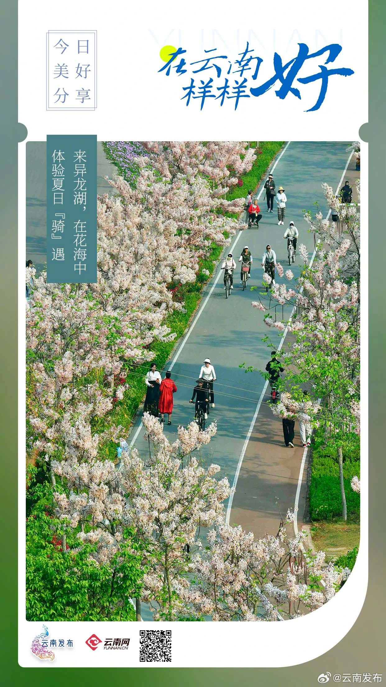 来异龙湖，在花海中体验夏日“骑”遇