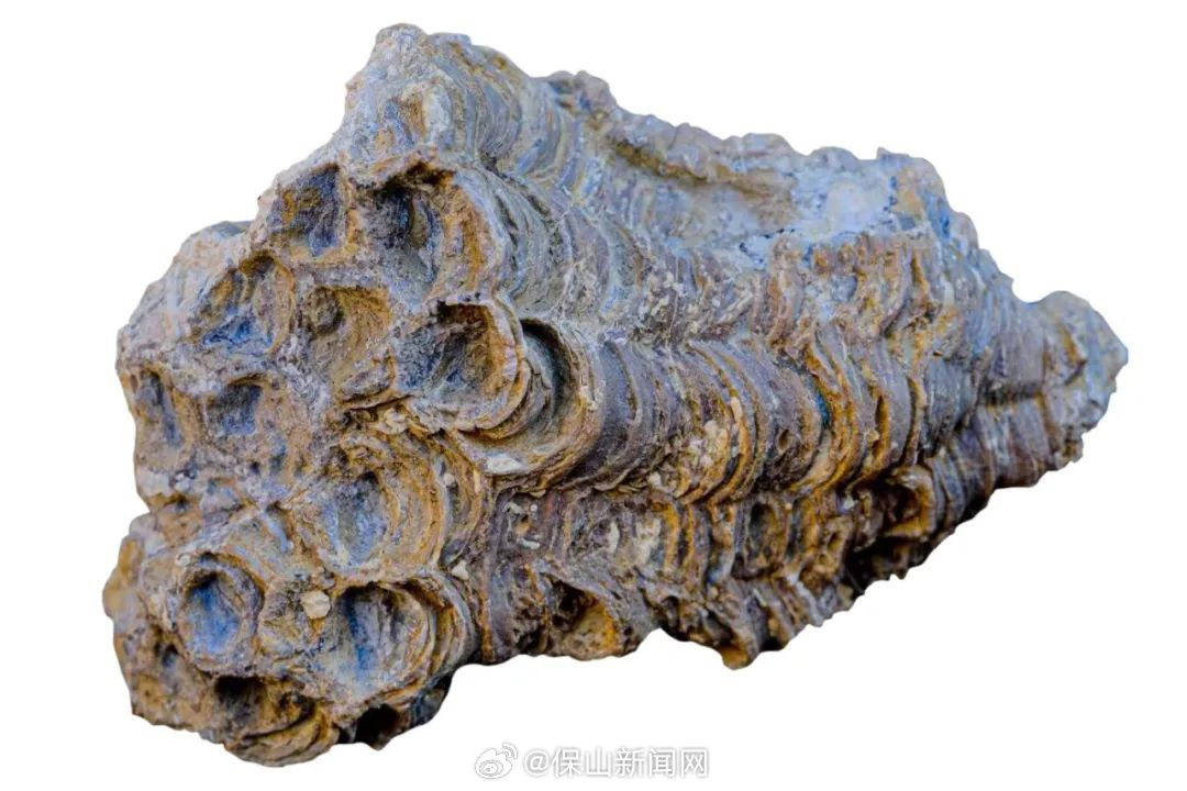 保山新闻网