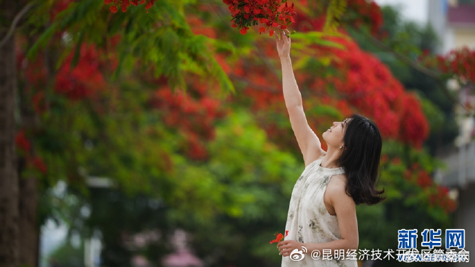 昆明经济技术开发区管委会