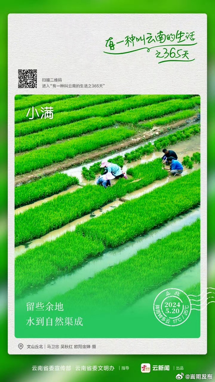 小满胜万全——有一种叫云南的生活之365天