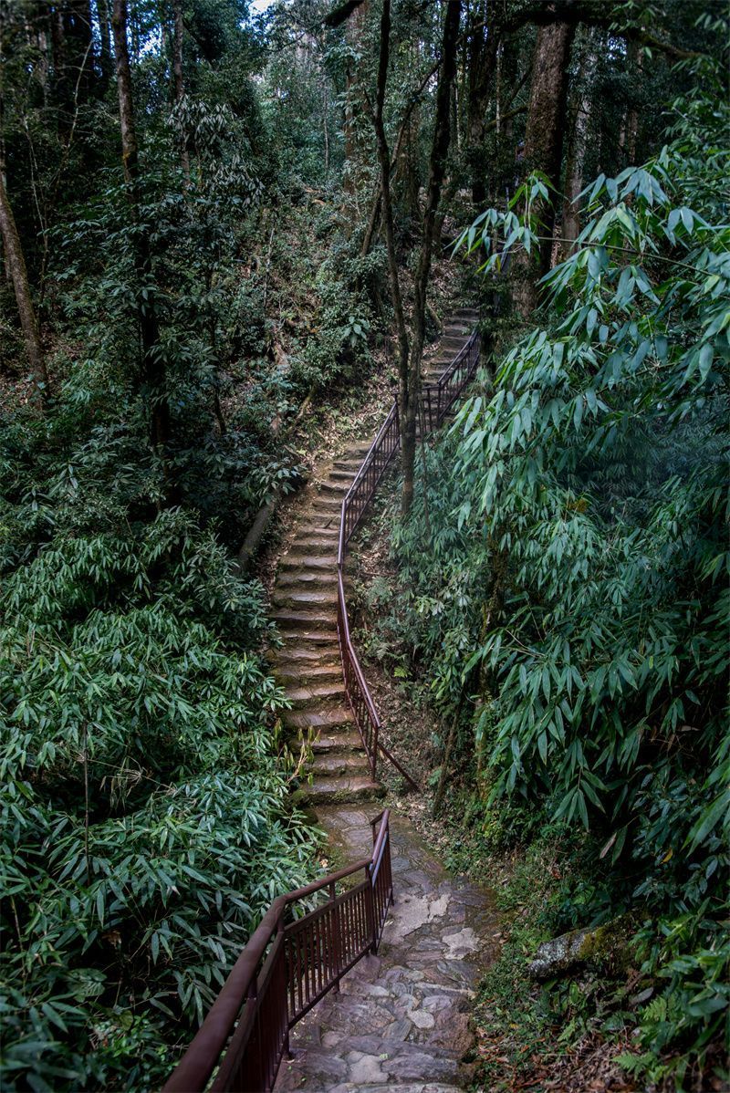 云南省文化和旅游厅