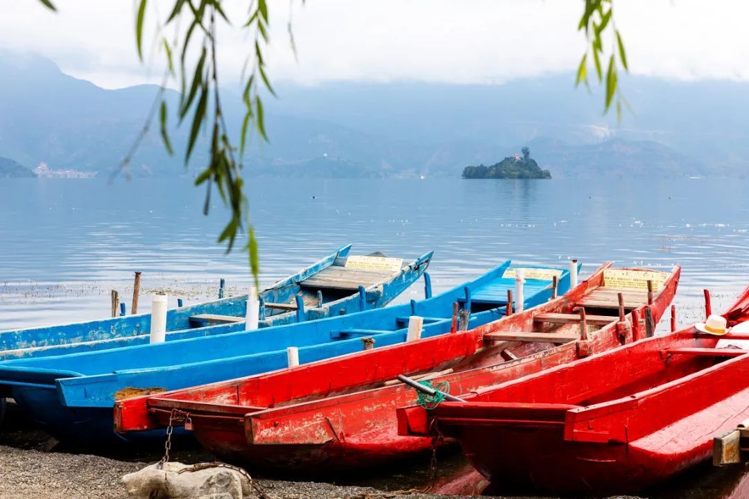 云南省文化和旅游厅