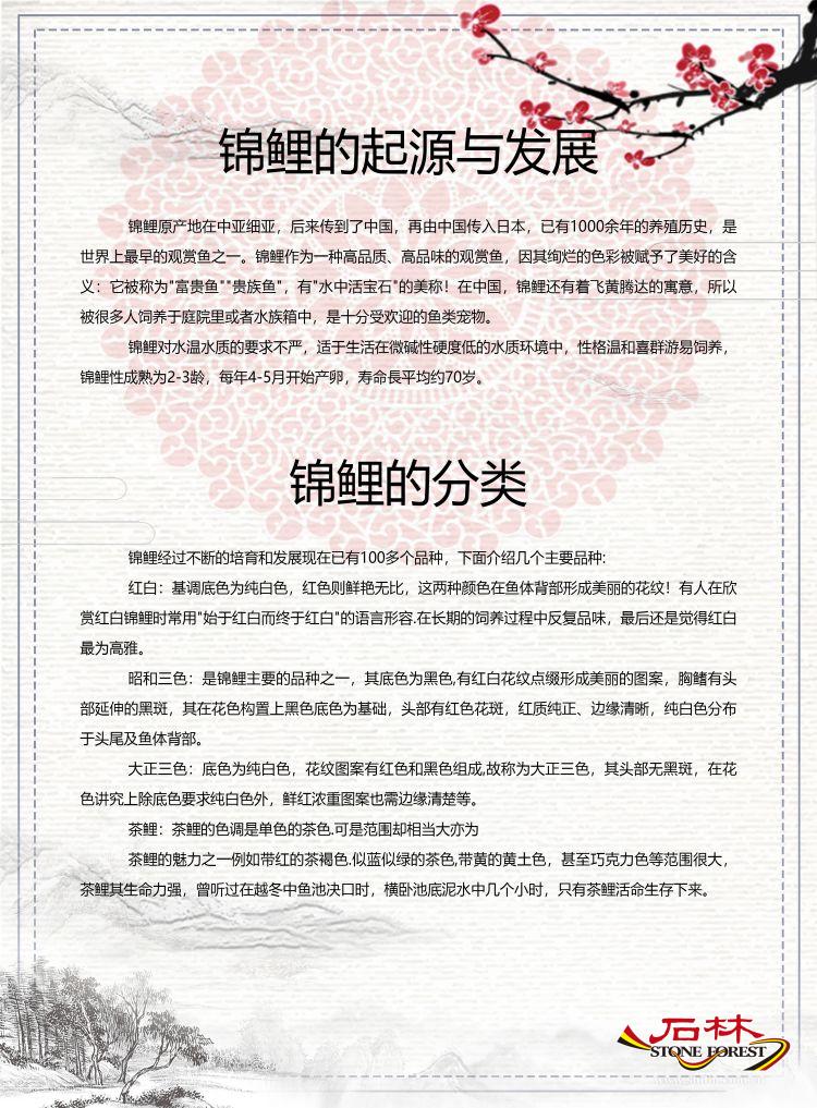 石林旅游网