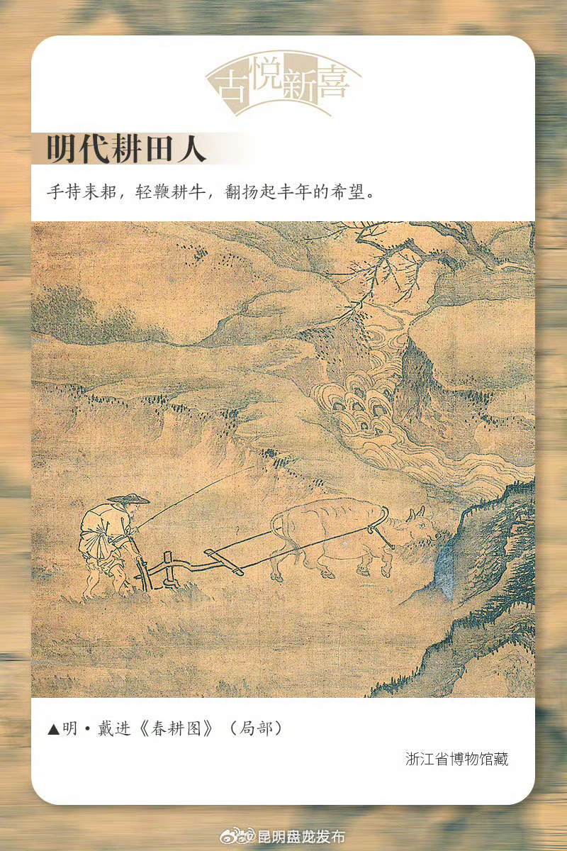 昆明盘龙发布