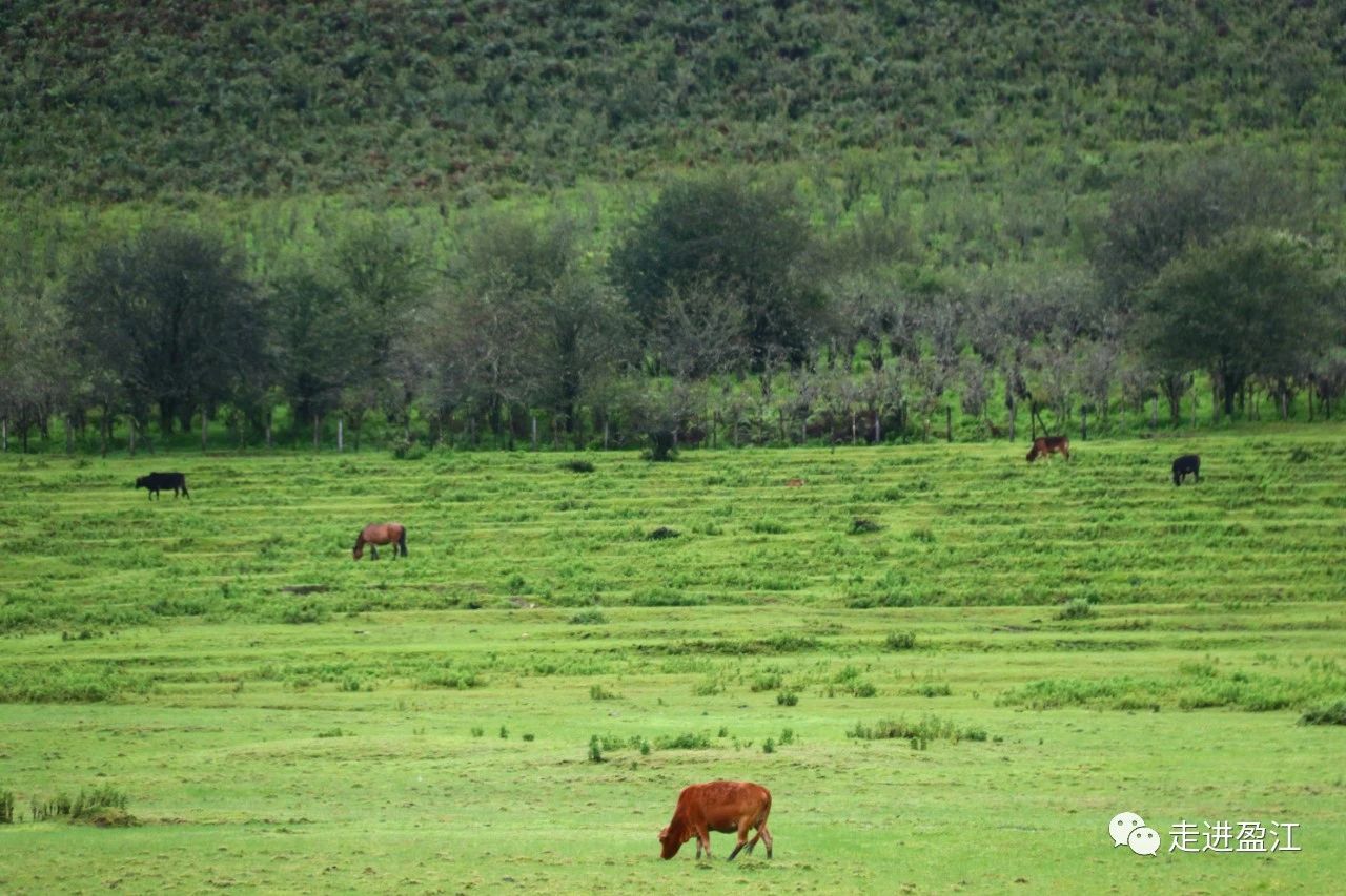 云南省文化和旅游厅