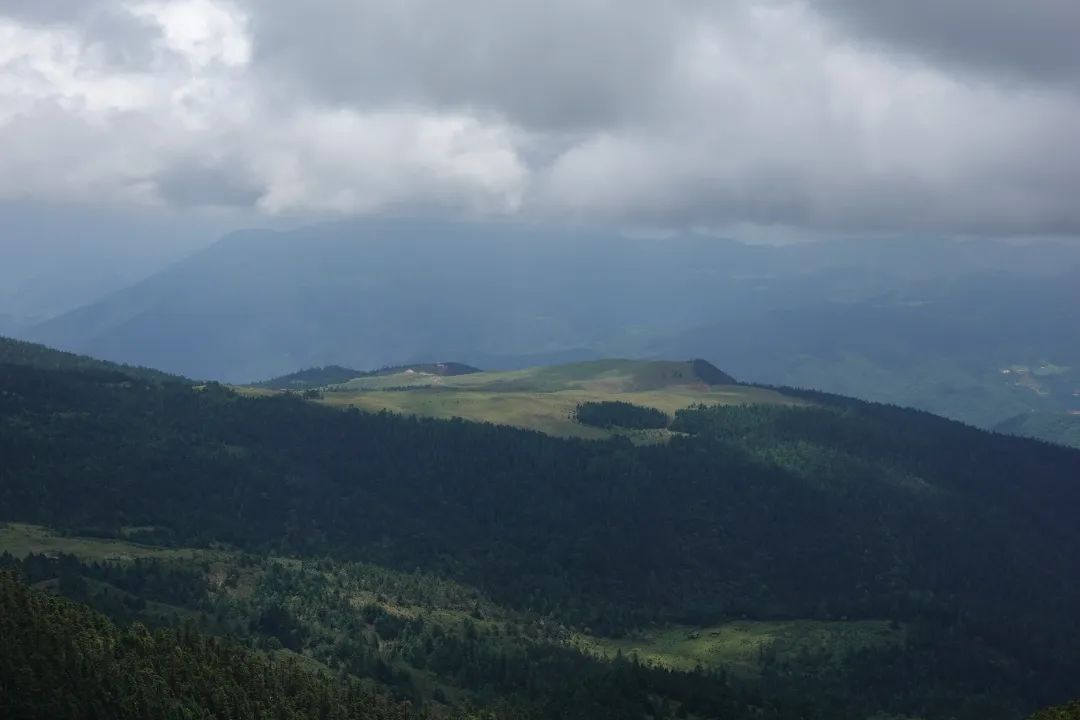 云南省文化和旅游厅