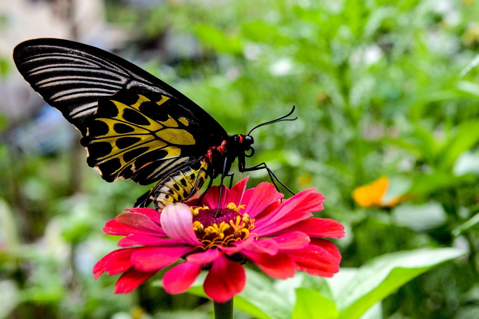云南省文化和旅游厅