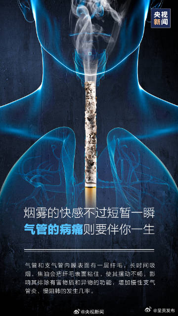 呈贡发布
